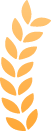 微信圖片_20231110140845.png